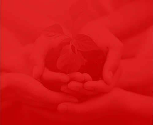 網(wǎng)絡公司盛世傳媒 網(wǎng)絡公司盛世傳媒